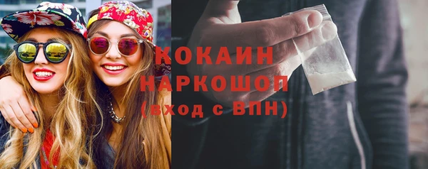 молекула духа Осташков