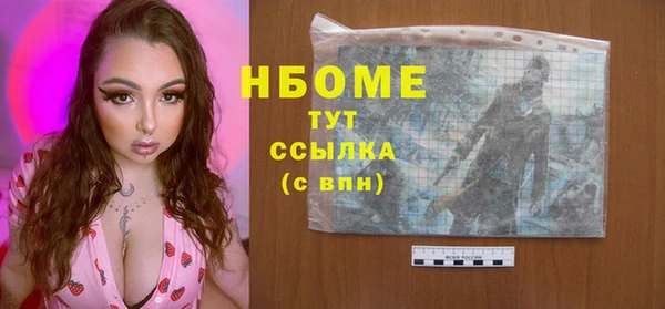 молекула духа Осташков