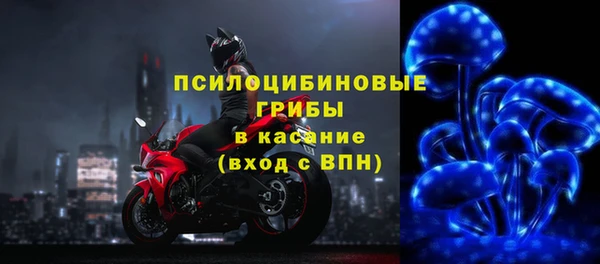 Альфа ПВП Осинники