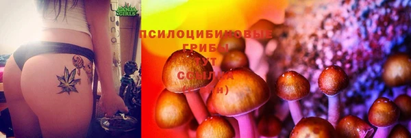Альфа ПВП Осинники