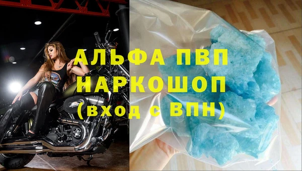 молекула духа Осташков