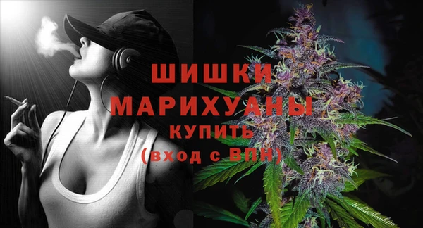 Альфа ПВП Осинники