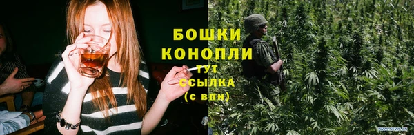 Альфа ПВП Осинники