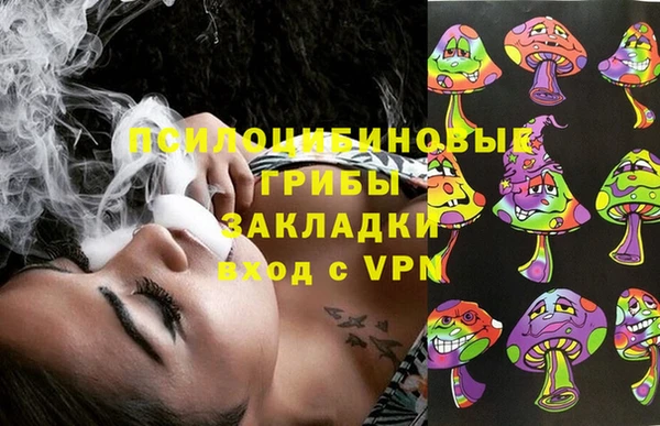 Альфа ПВП Осинники