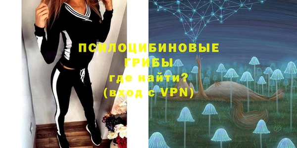 молекула духа Осташков