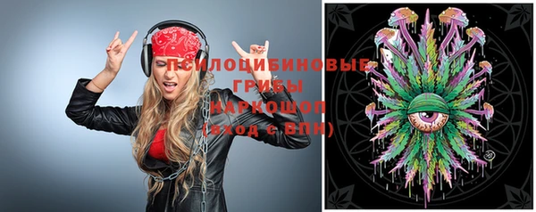 молекула духа Осташков