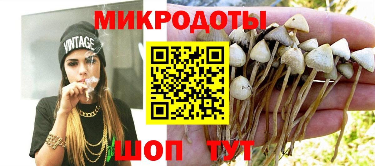 Псилоцибиновые грибы Psilocybe Лиски