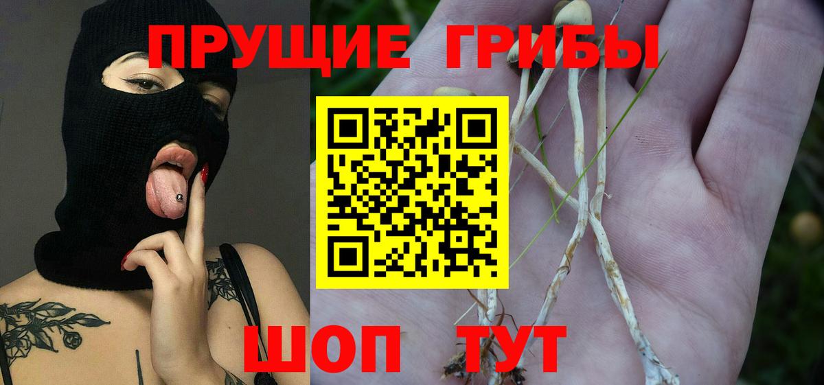 Псилоцибиновые грибы Cubensis  Вход с VPN  Псилоцибиновые грибы GOLDEN TEACHER  Лиски 